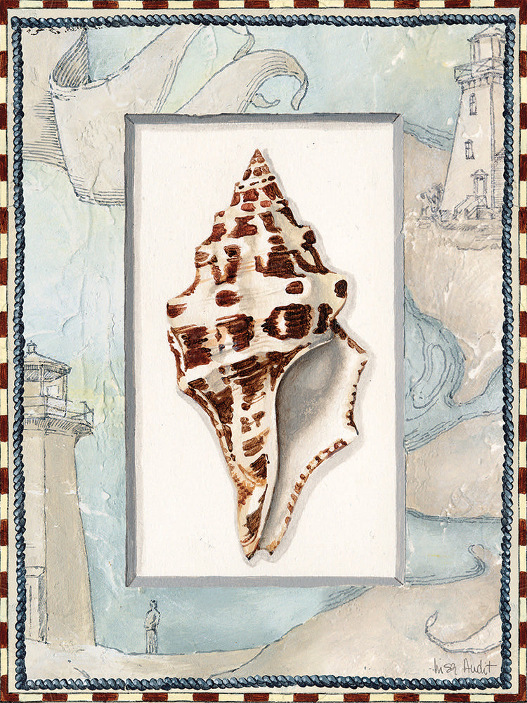 Sea Shell Coastal Frame