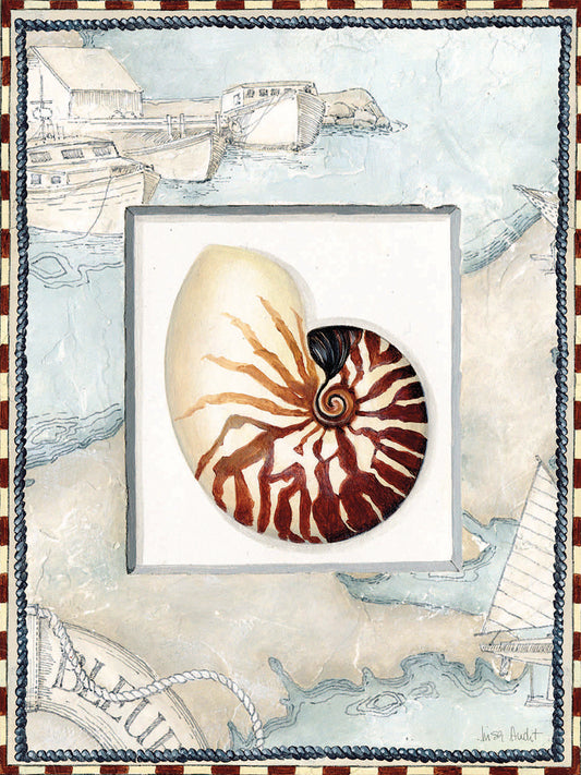 Sea Shell Coastal Frame 2 Canvas Print