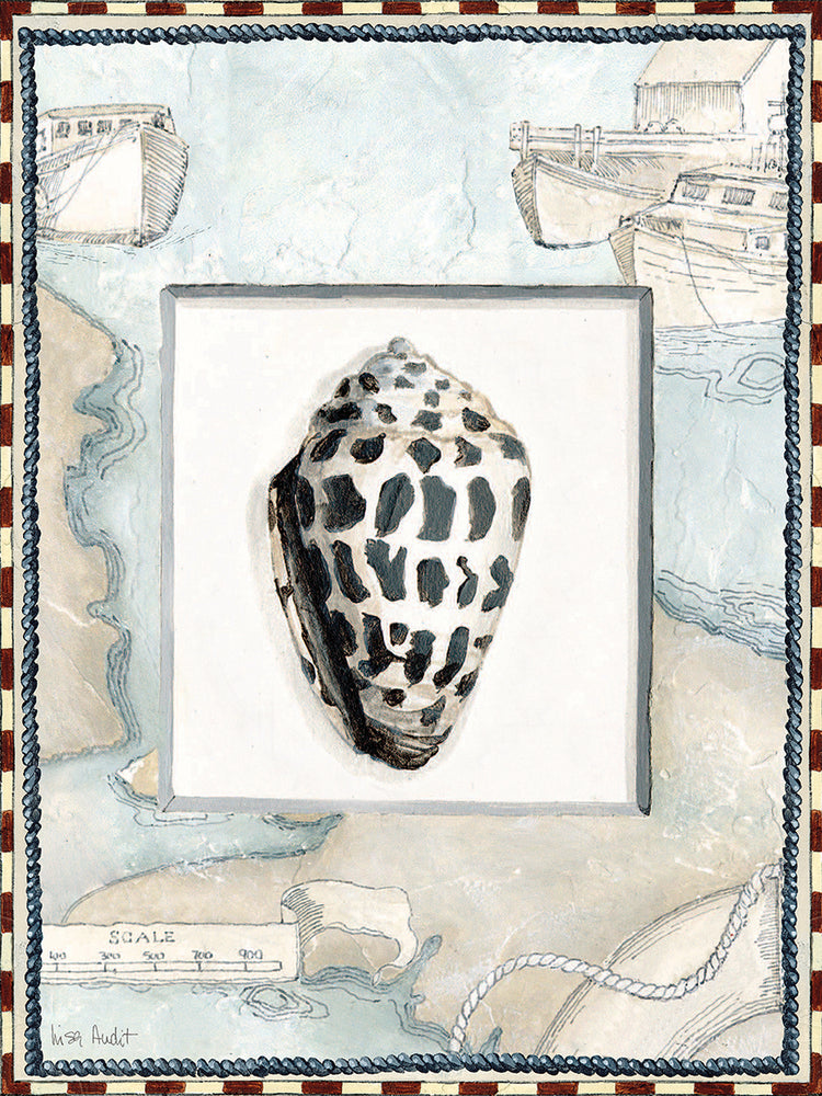 Sea Shell Coastal Frame 3