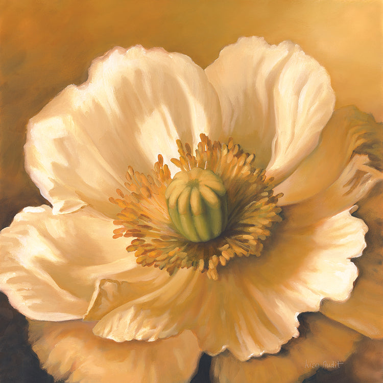 Arte de la lona de la amapola