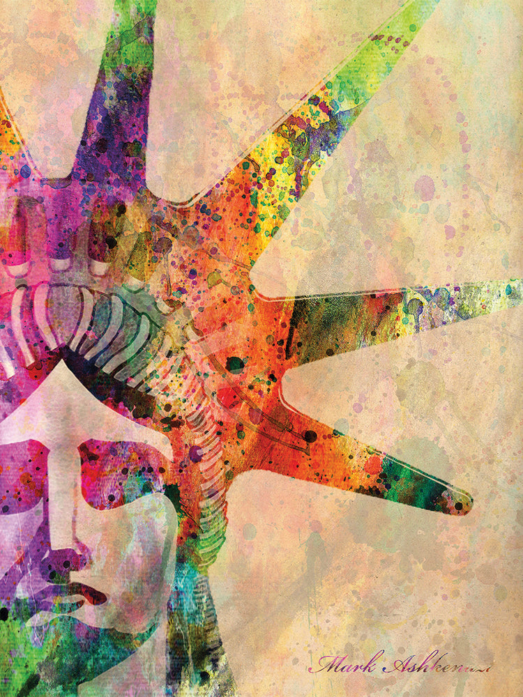 Liberty Illustration Colors