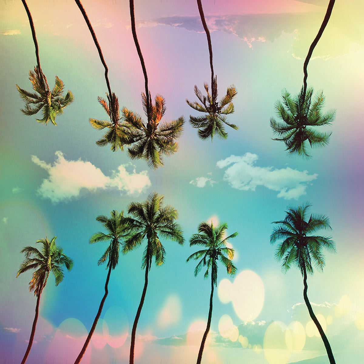 Tropical