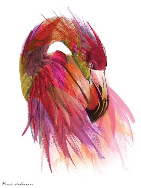 Flamingo Colors 2 Canvas Art