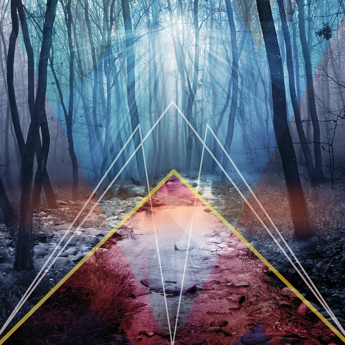 Forest 13