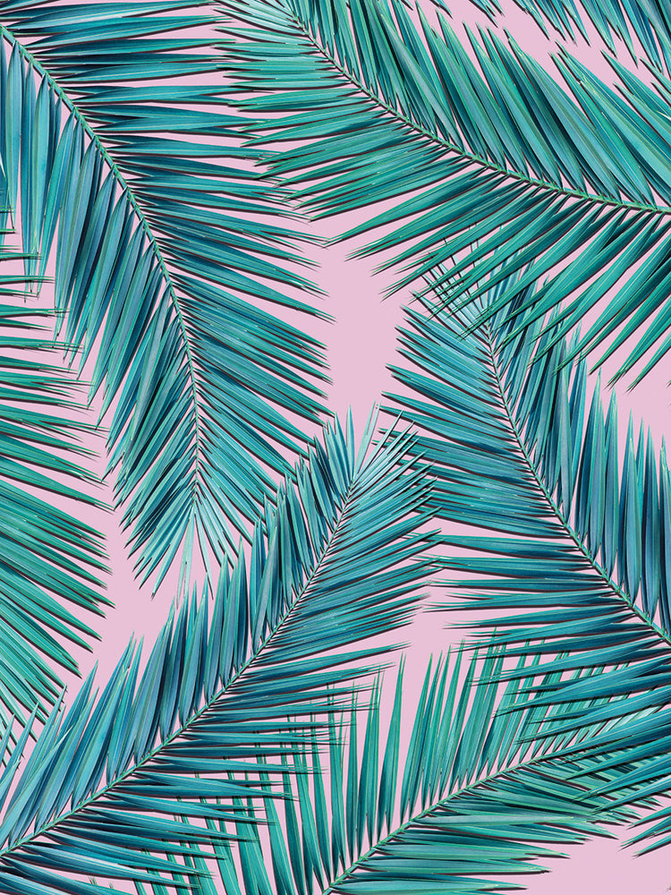 Arte de la lona de la palmera