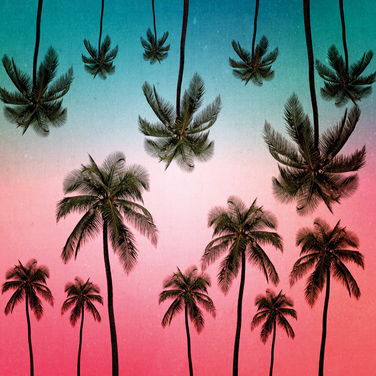 Pink and Blue Tropical