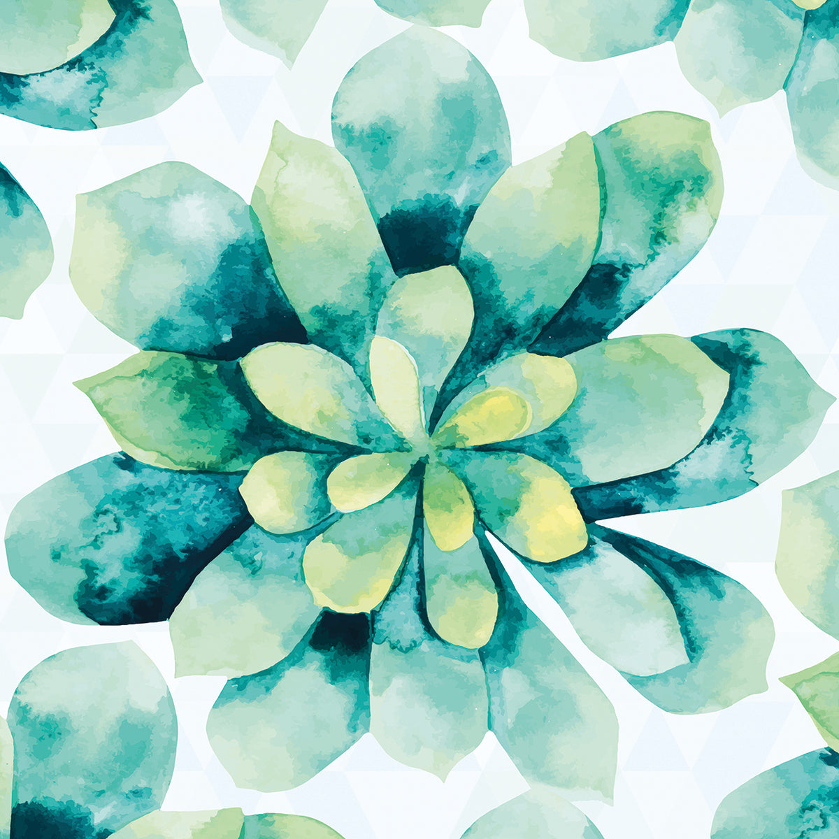 Tropical Flower