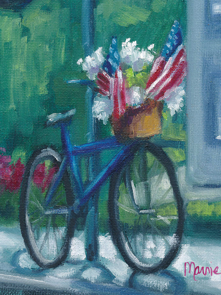 Patriotic Bike