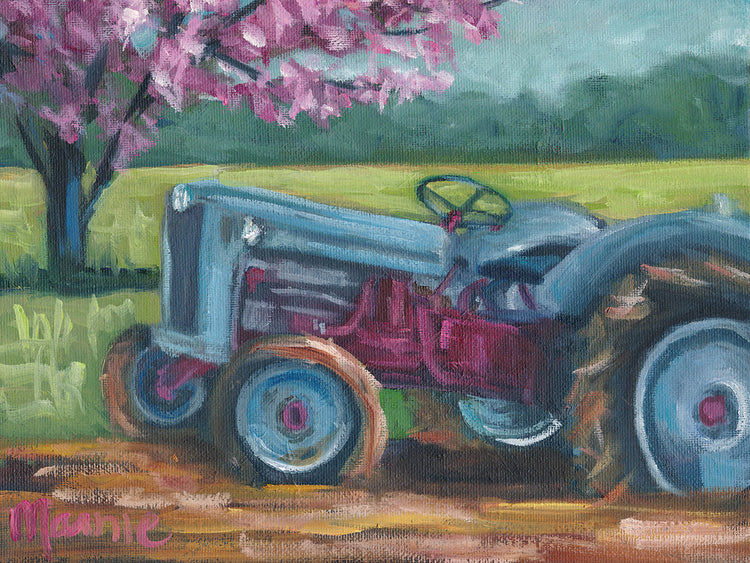 Tractor Spring