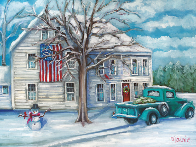 Christmas Delivery Mystic