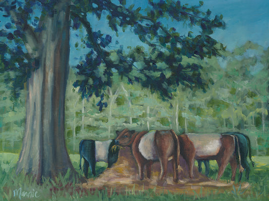 Rhode Island Oreo cows Canvas Art