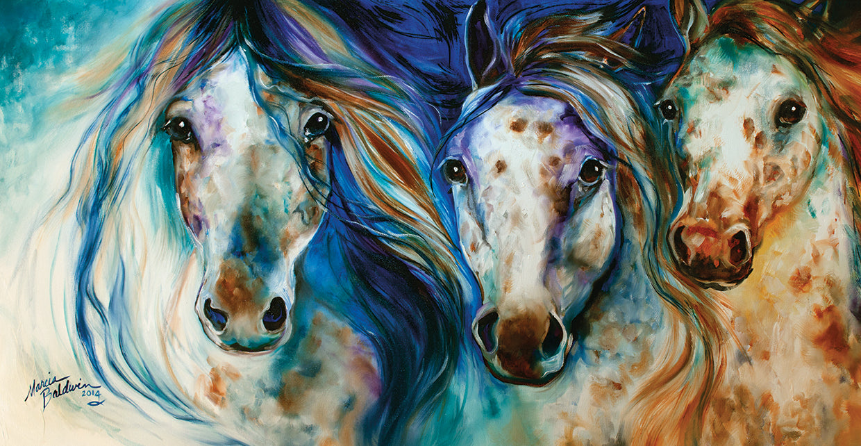 3 Wild Appaloosa Horses