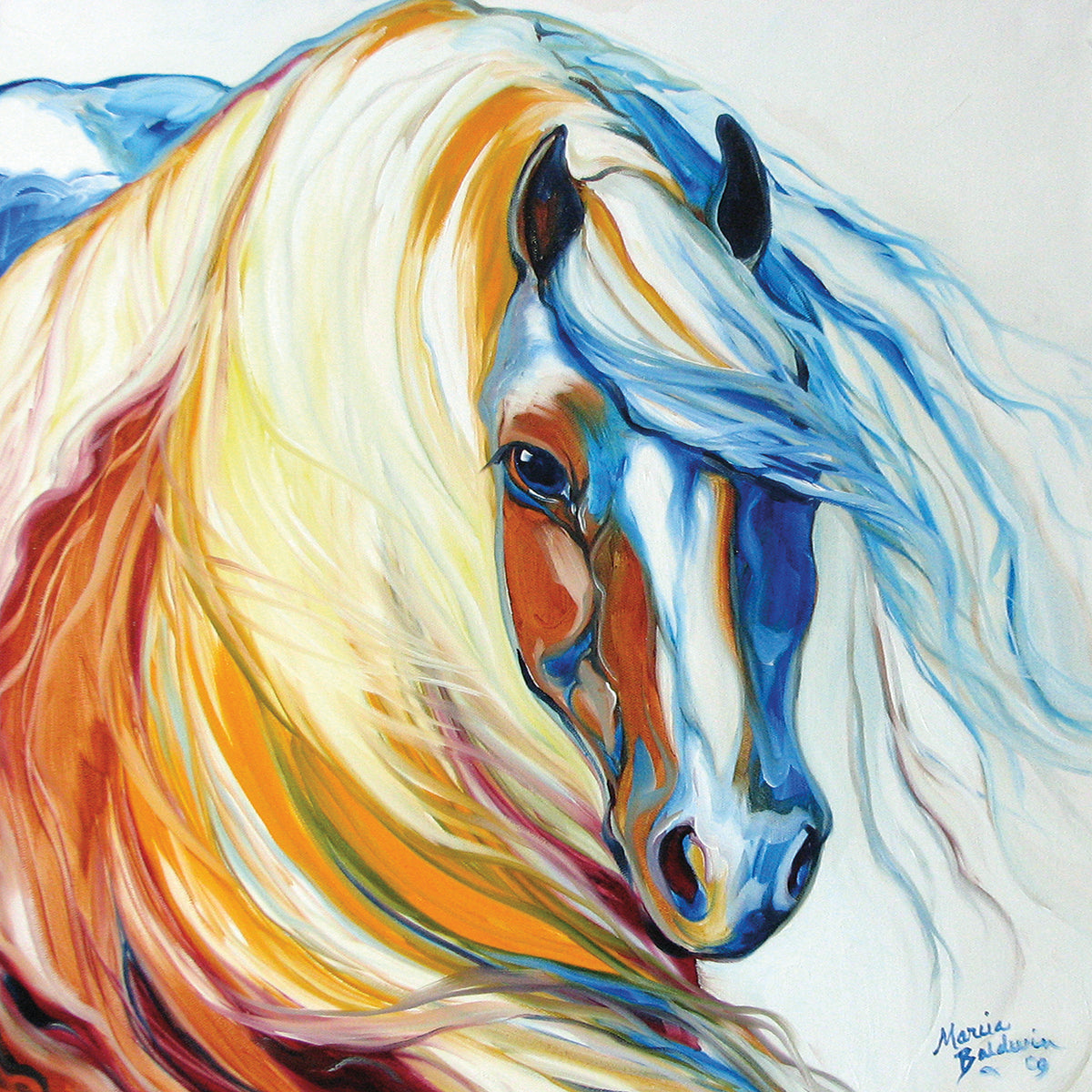 Gypsy Vanner Dream