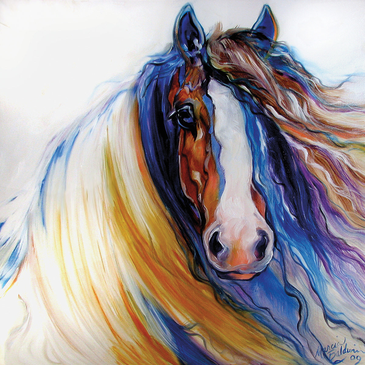 Gypsy Vanner Rouge