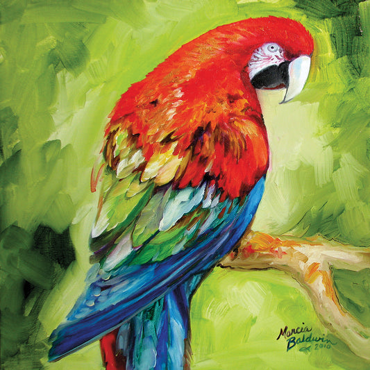 Macaw Tropical Canvas Print