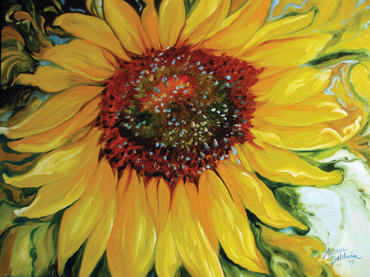 Sundown Sunflower Canvas Prints
