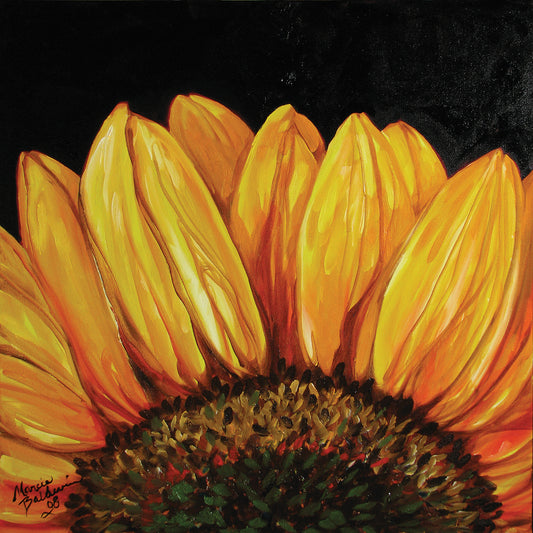 Sunflower Sunflower Canvas Print