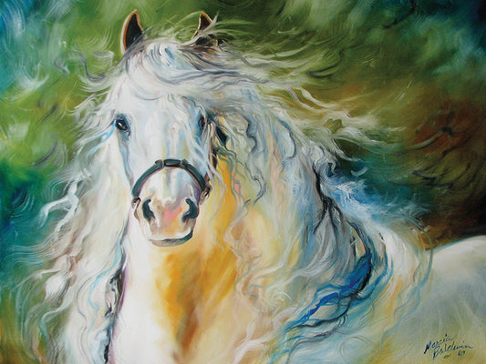 White Cloud The Andlusian Stallion Canvas Prints