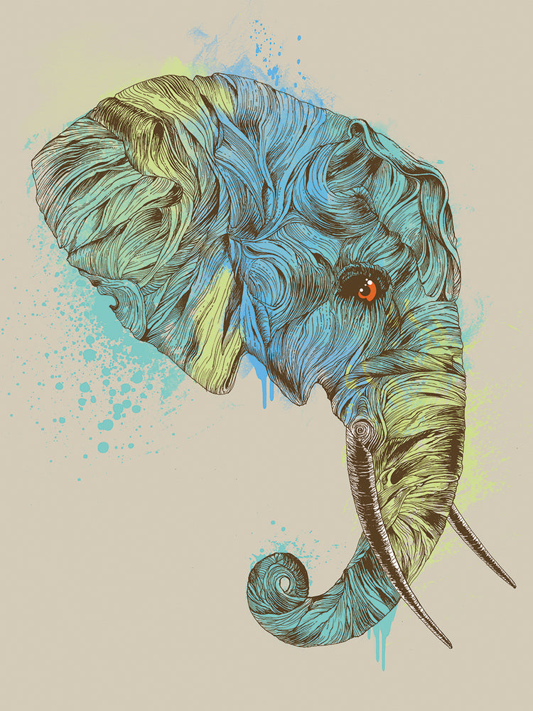 Rey elefante Lienzo
