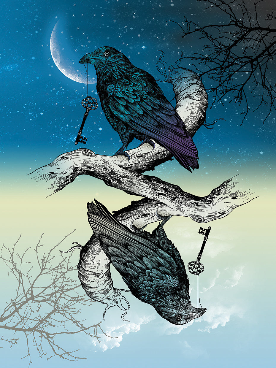 Raven Night and Day