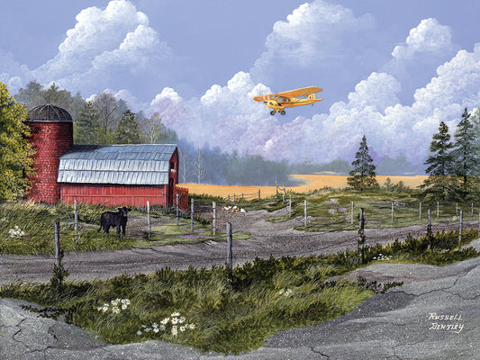 Flying the Farm Canvas Print
