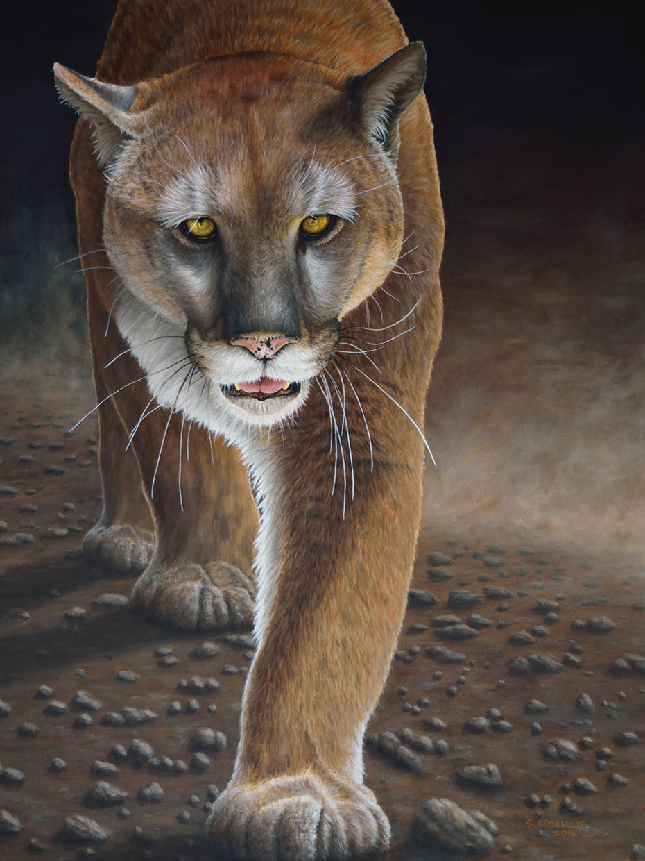 Valley of the Shadow of Death