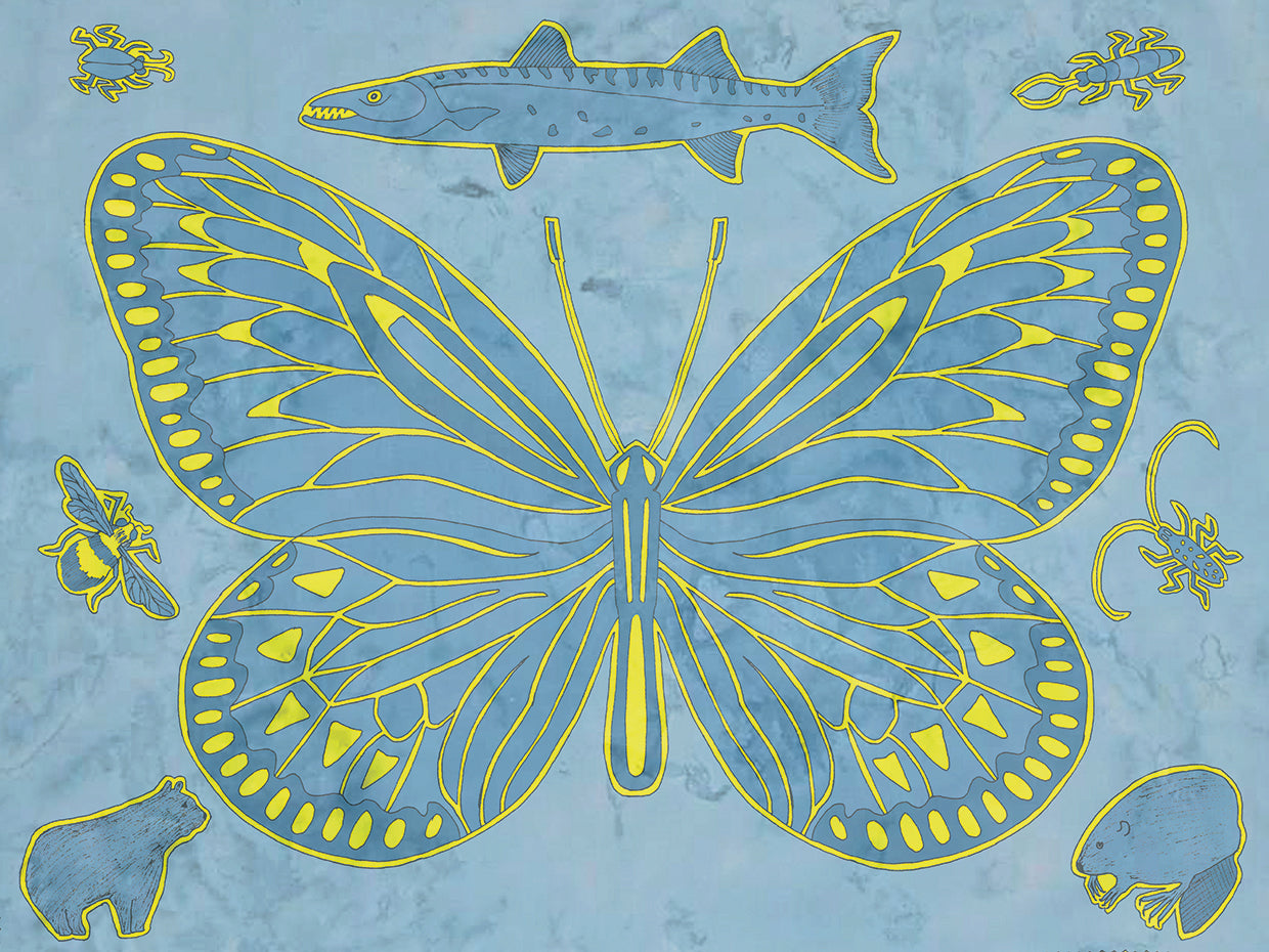 Mariposa Lienzo