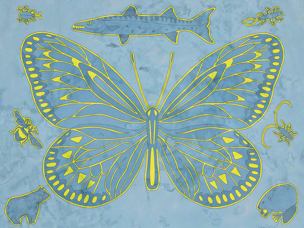 Butterfly