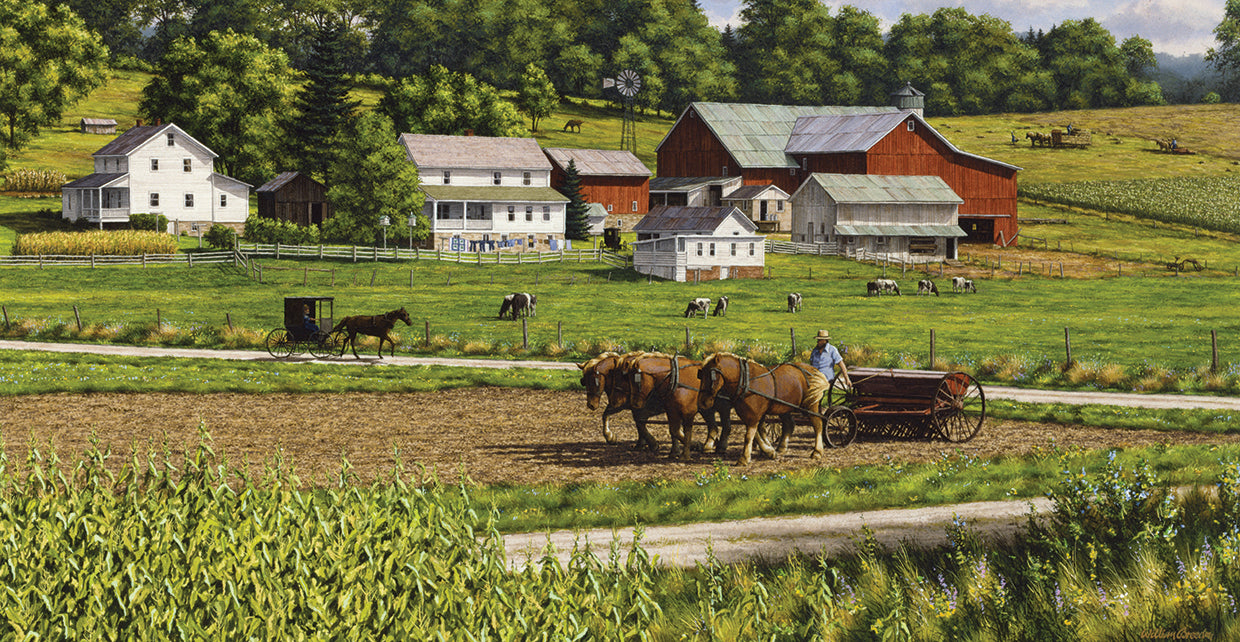 While The Sun Shines