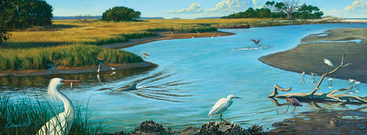 Birds Of Paradise Canvas Print
