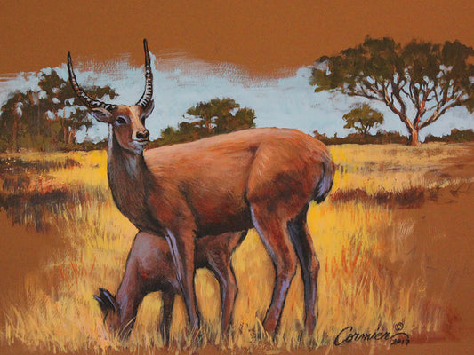 Mixed Media Exotic Deer Canvas Print