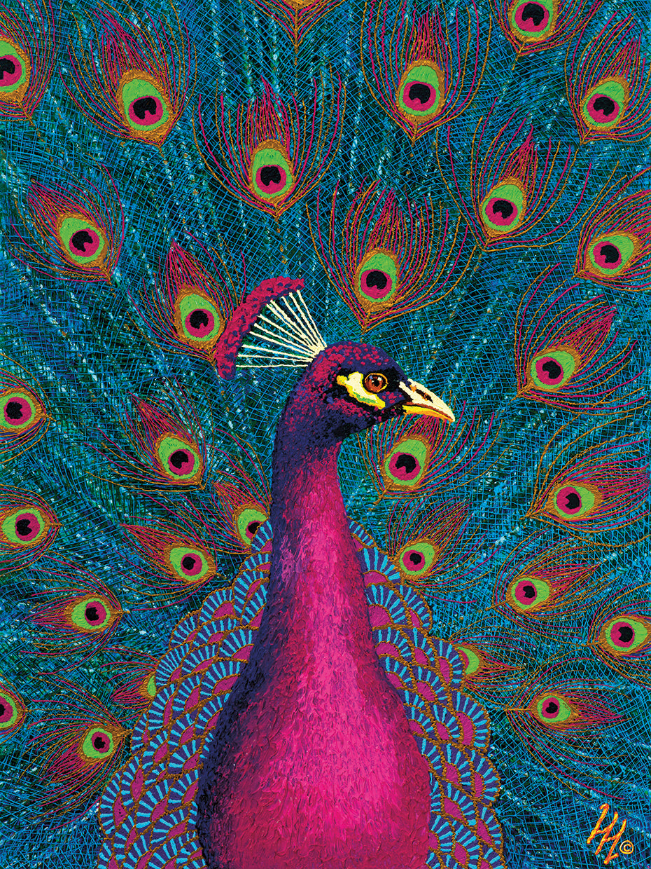 Pink Peacock