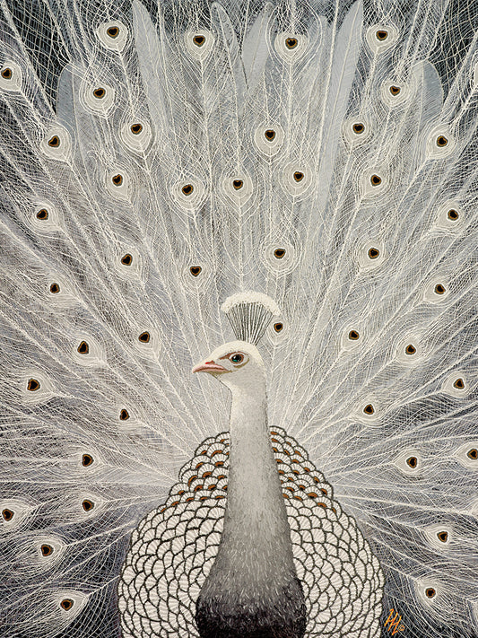 White Peacock Canvas Print