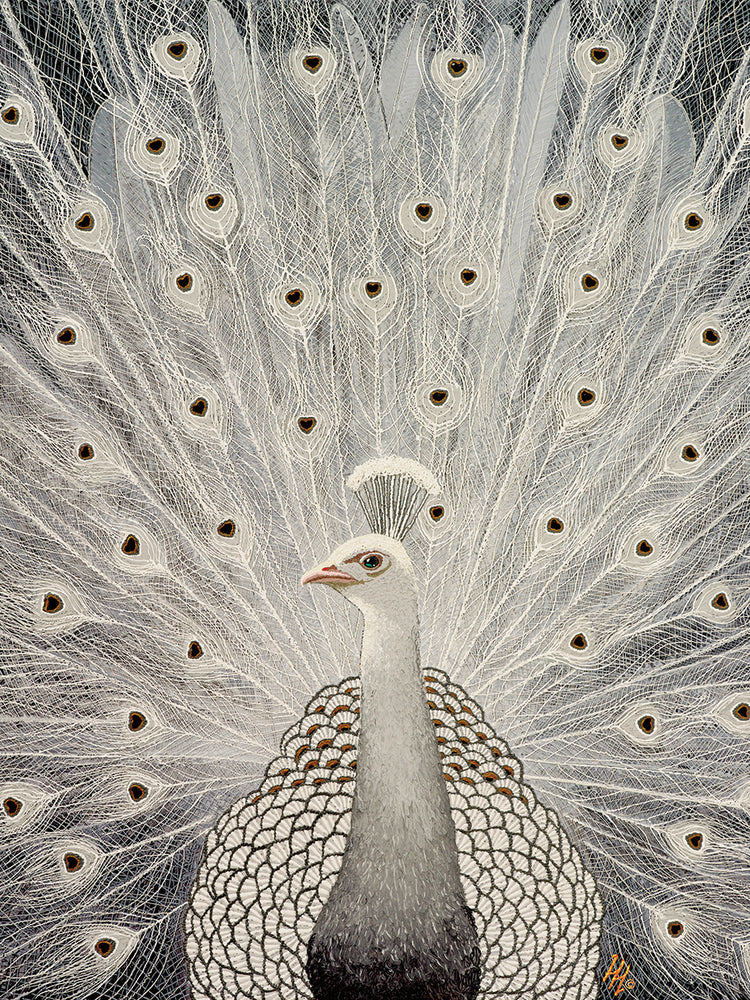 White Peacock