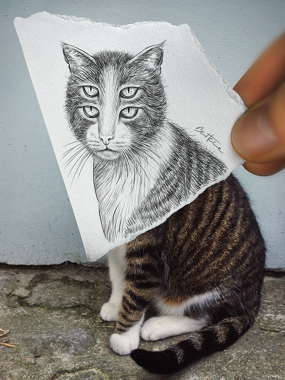 Pencil Vs Camera 6 - 4 Eyes Cat