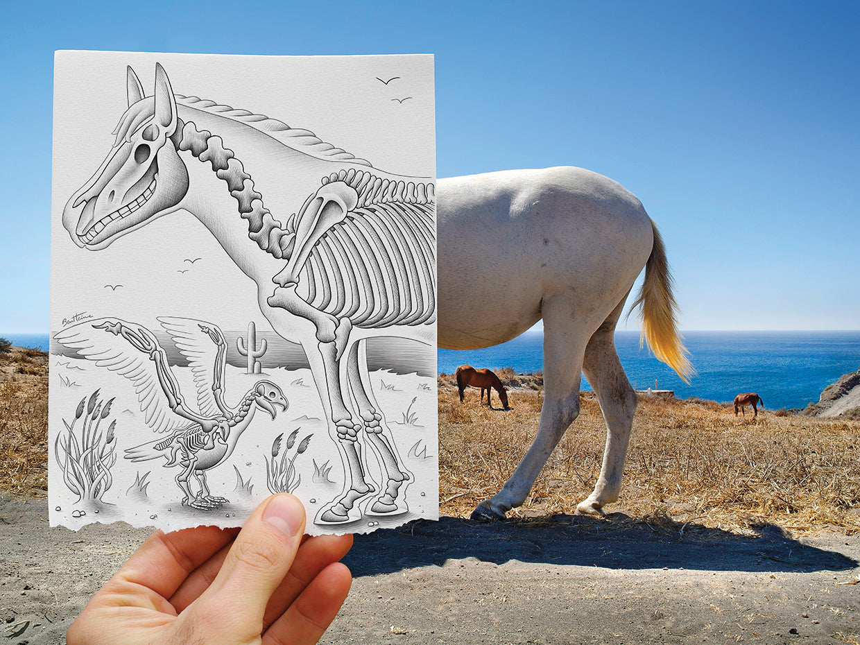 Pencil Vs Camera 40 - The Skeletons