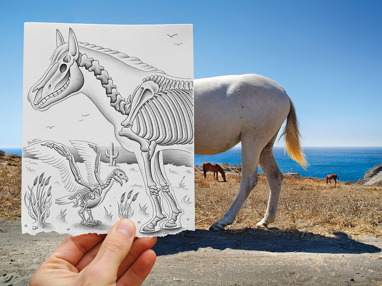 Pencil Vs Camera 40 - The Skeletons