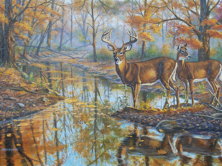 Brookside Retreat - Whitetails