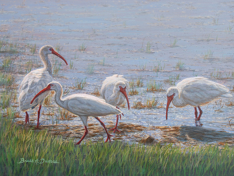 Arte de la lona de la excursión de Ibis