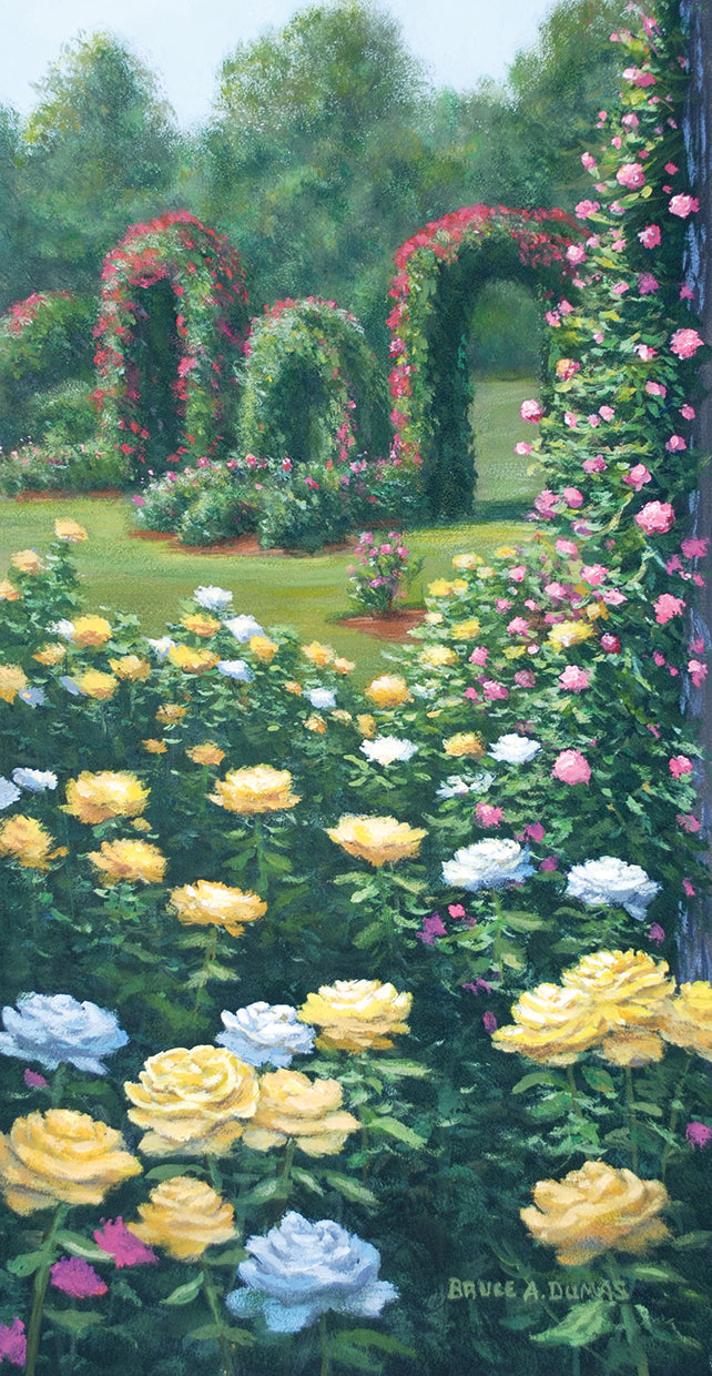 rose-garden-bruce-dumas