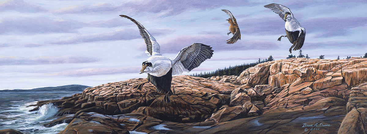 Acadia Visitors