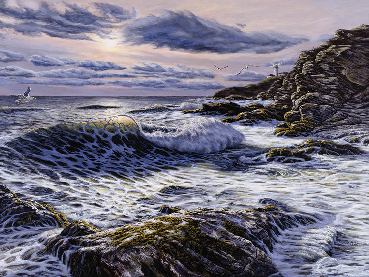 Beaver Tail Park Light