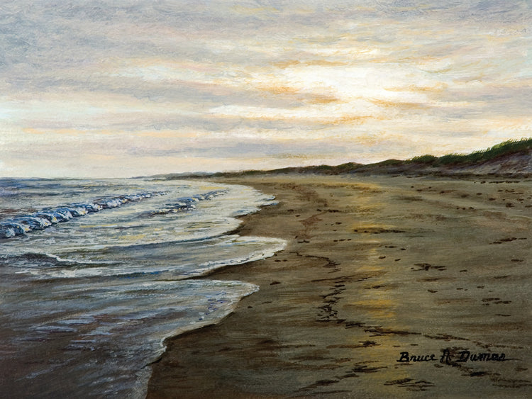 Napa Tree Point Walk