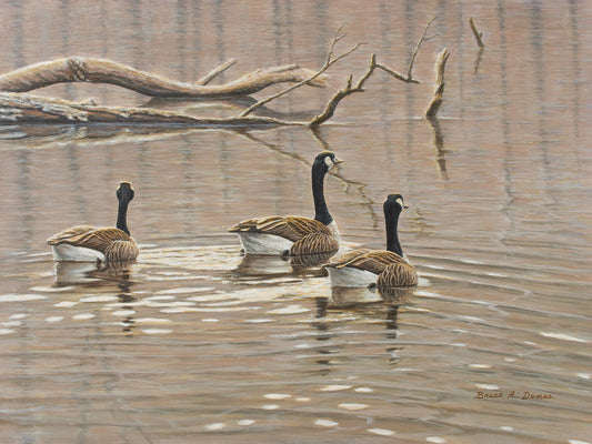Early Spring Geese Trio Canvas Art