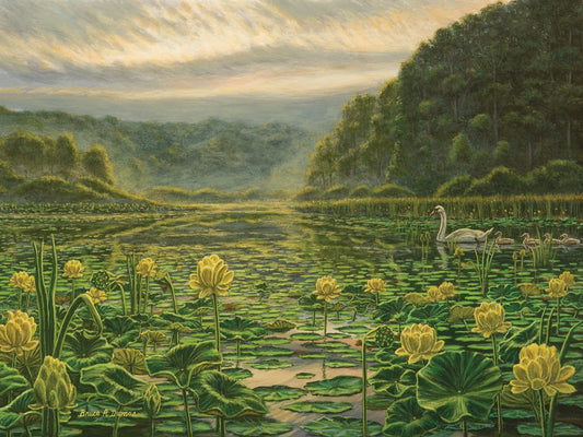 Westerly Pond Canvas Art