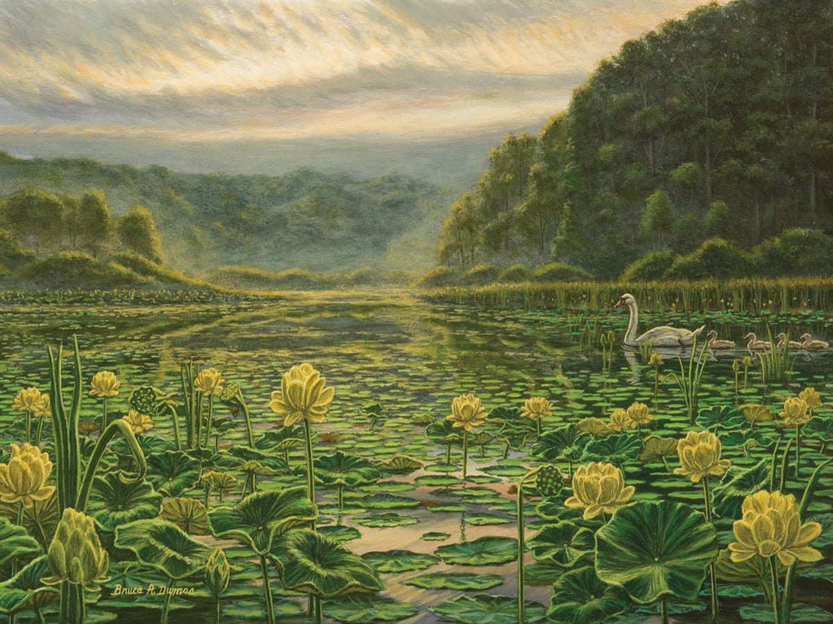 Westerly Pond