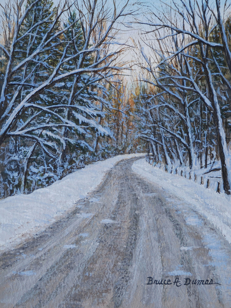 Arte de la lona de maderas de invierno