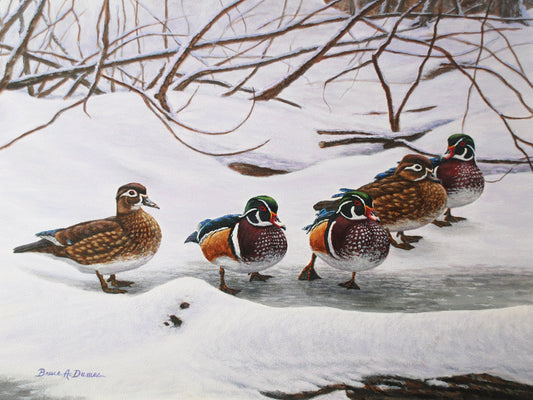 Winter Wood Ducks Canvas Art