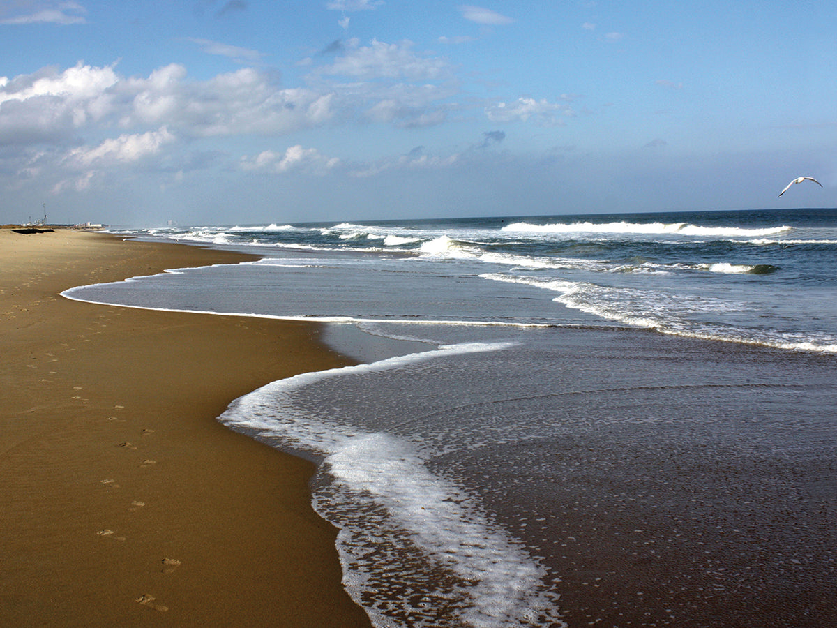 Beaches 9