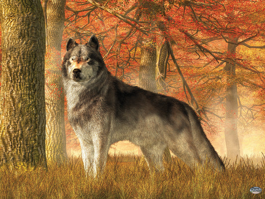A Wolf In Autumn Canvas Art